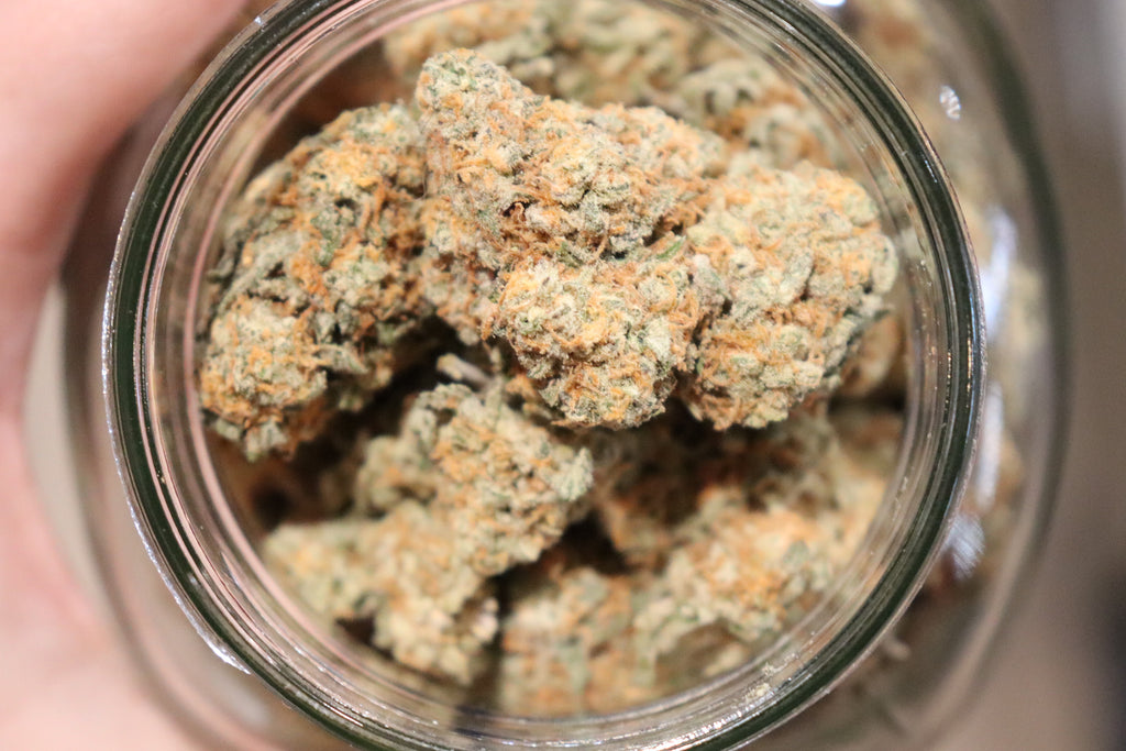 Sauv Blanc -indica