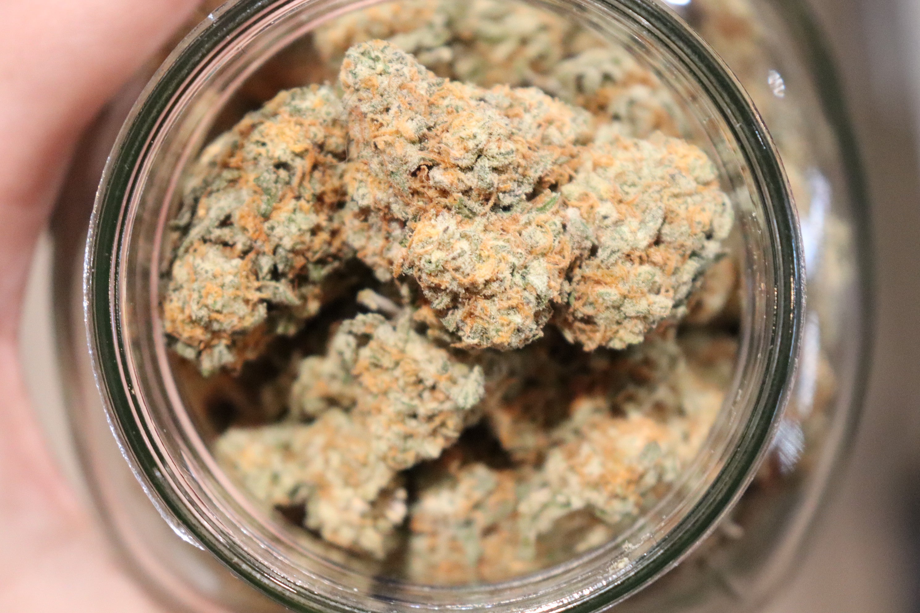 Sauv Blanc -indica
