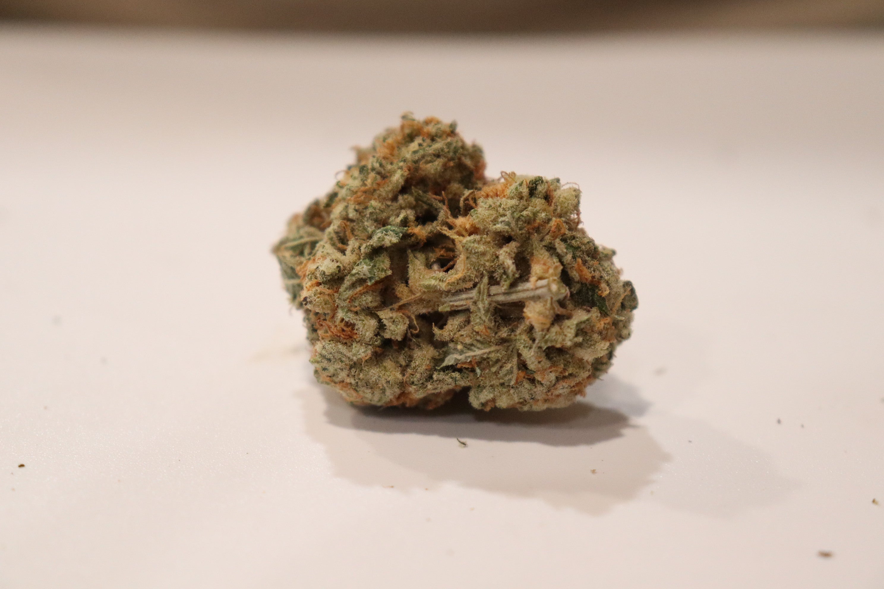 Sauv Blanc -indica