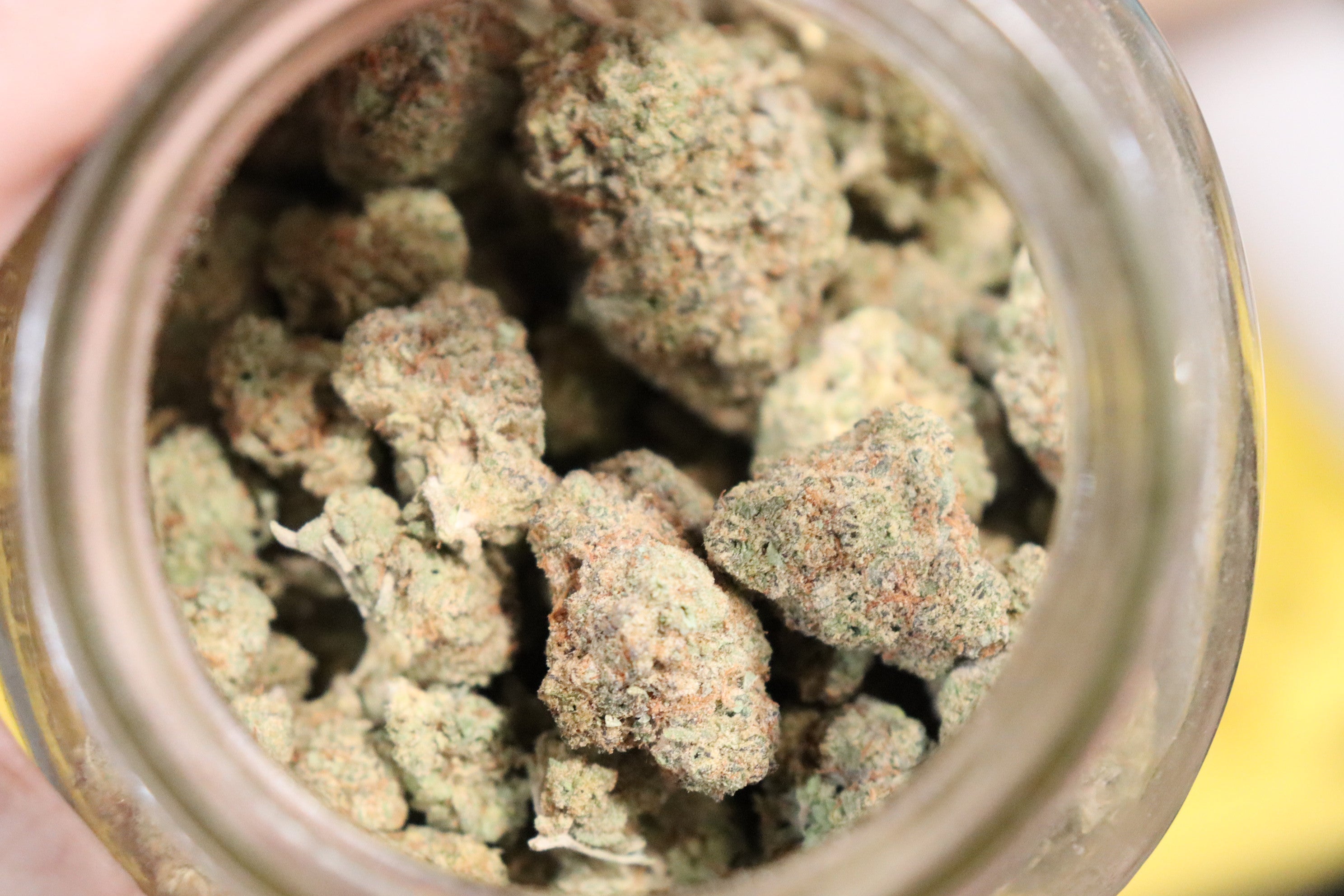 G4 -hybrid