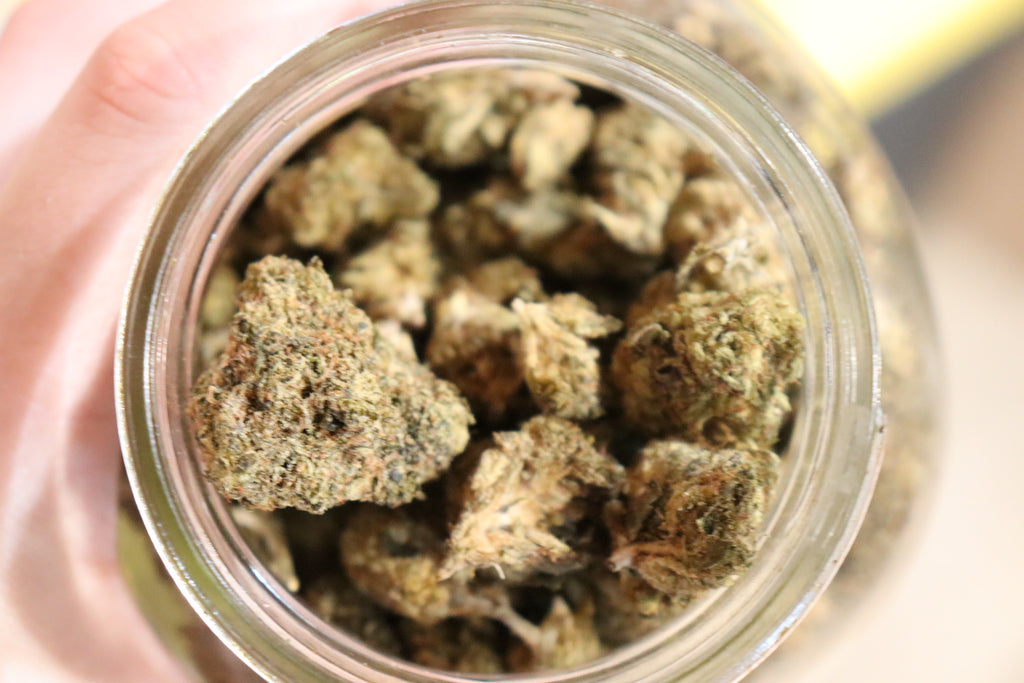 Pink Everest -indica