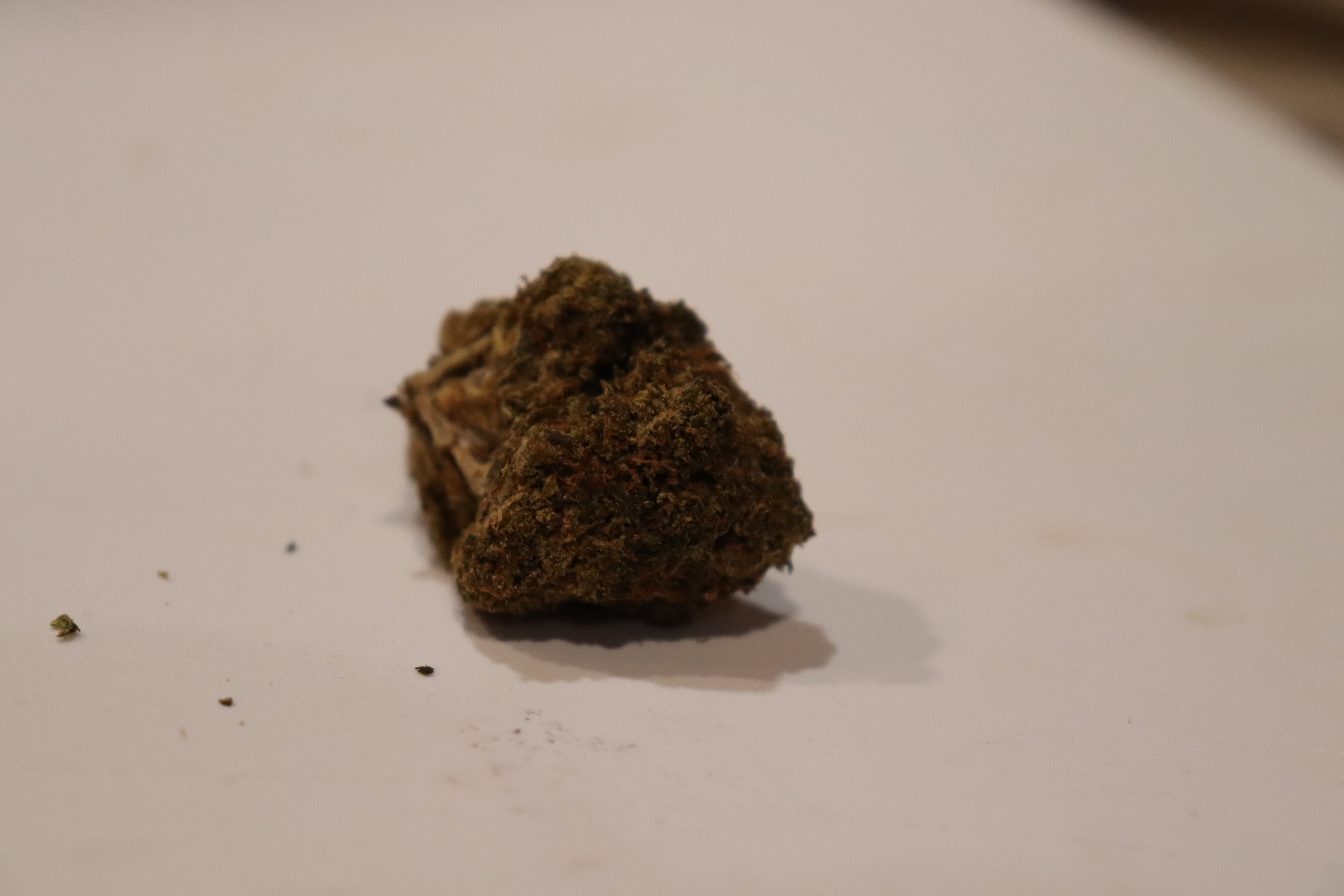 Pink Everest -indica