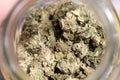 Frog Cake -indica