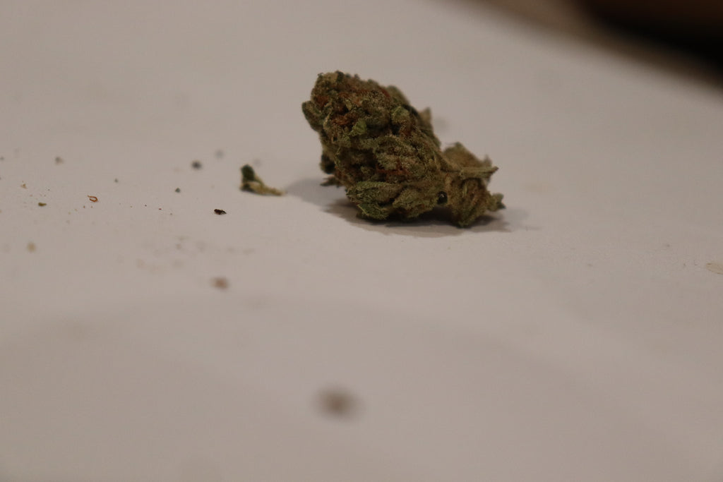 Frog Cake -indica