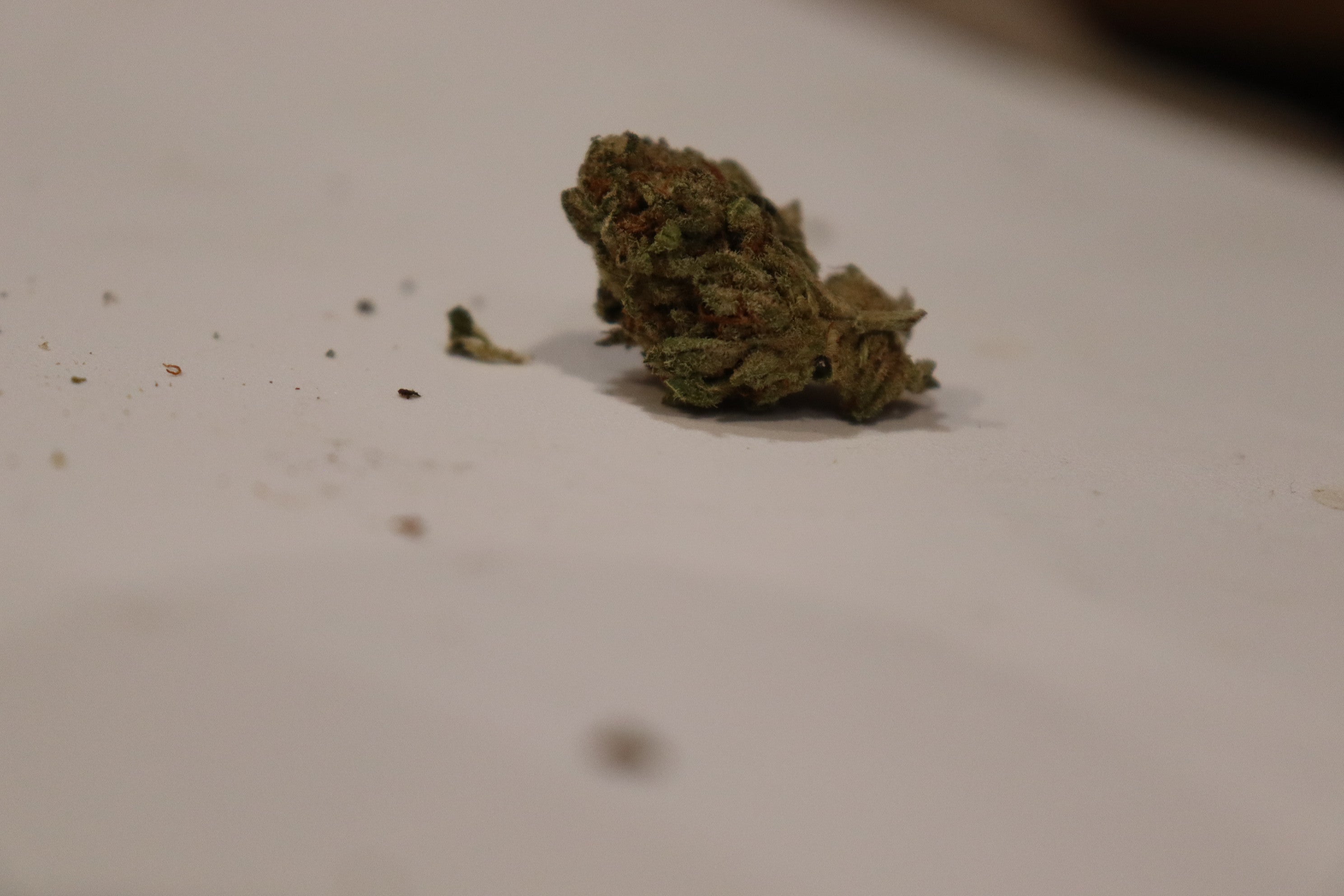Frog Cake -indica