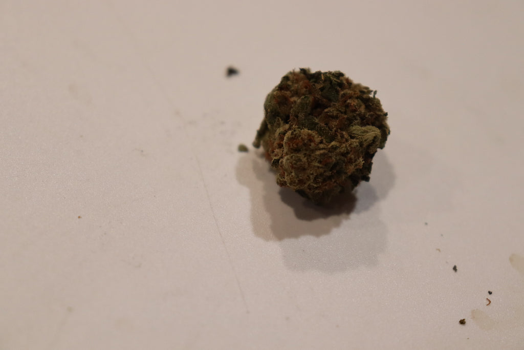 Jack Frost -sativa